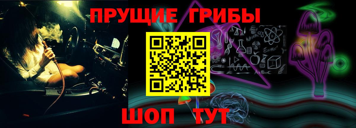 Галлюциногенные грибы Psilocybine cubensis Кострома